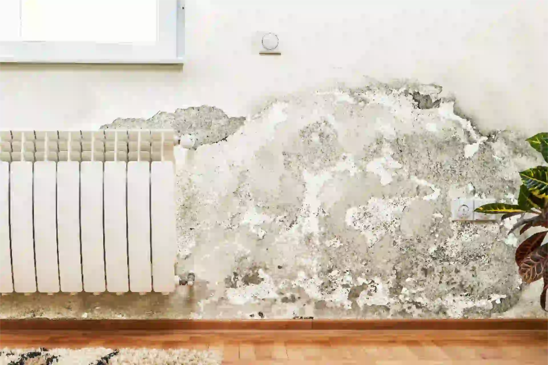 Traitement de l'humidité des murs à Confrançon